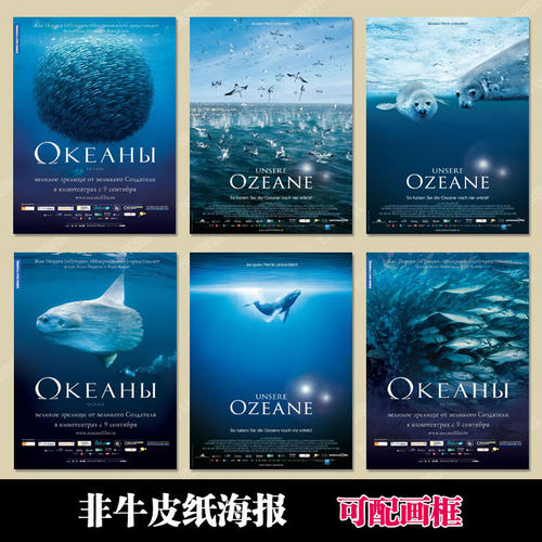 仿制比利时护照